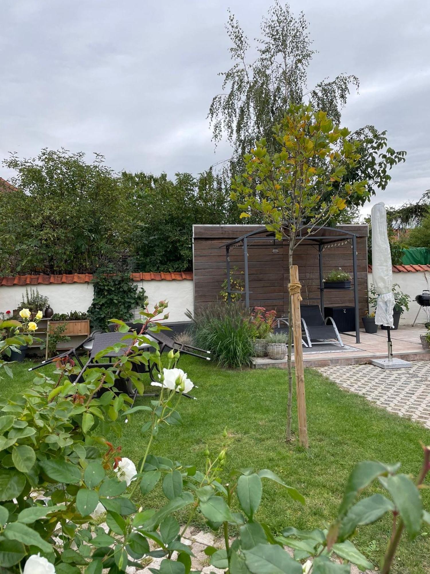 Gemuetliche Ferienwohnung Wernigerode Buitenkant foto